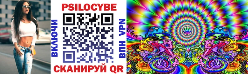 Псилоцибиновые грибы мицелий  наркошоп  Заречный 